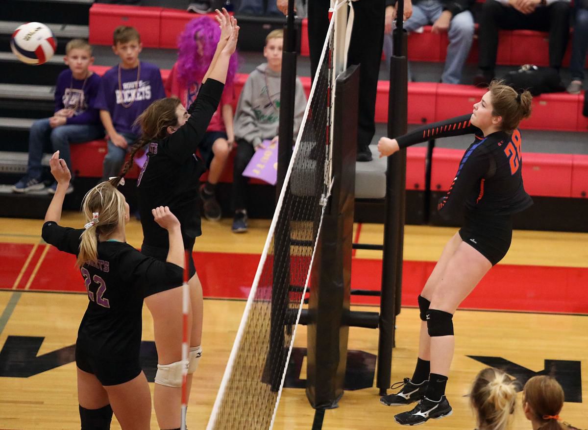 St Teresa's Lexie Huck and Abby Robinson now leaders of a young, talented Bulldogs volleyball team